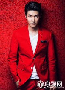 育儿经最新爆料王晰,王晰育儿经最新爆料,育儿技巧大公开