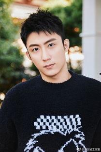 最新爆料黄景瑜,神秘恋情引热议,事业再攀高峰