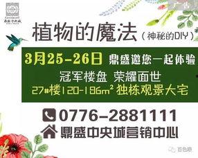 百色今日爆料信息最新查询,揭秘今日热点事件!”